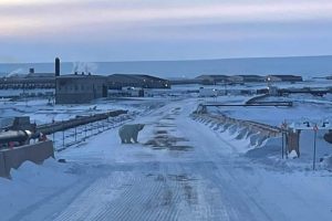 Trump and White Hats Consider Building Prison for Deep Staters in Greenland